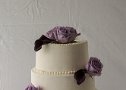 Allyson - Brad 0299